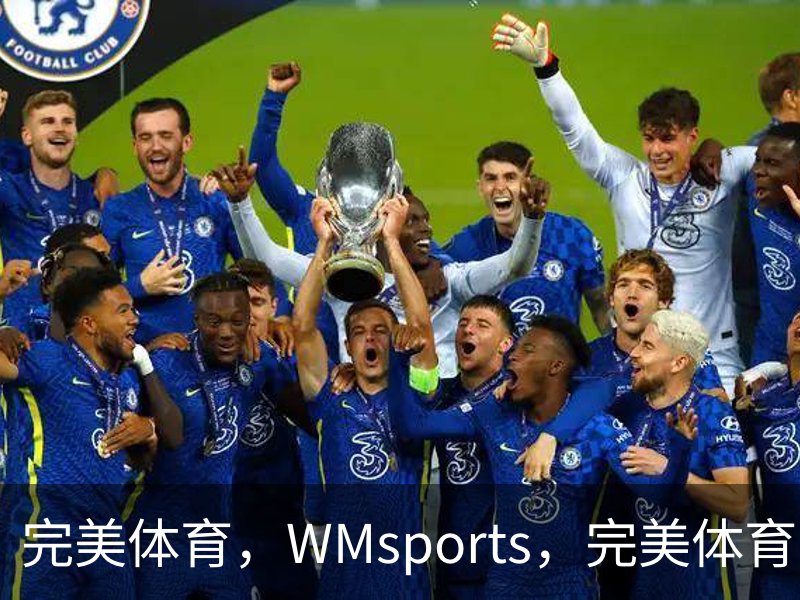 完美体育，WMsports，完美体育官方，完美体育平台，完美体育下载概况