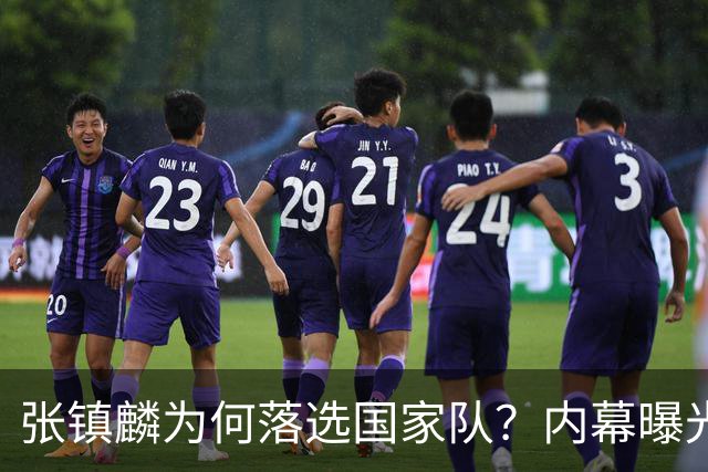 张镇麟为何落选国家队？内幕曝光，叫人心疼，郭士强并没放弃他